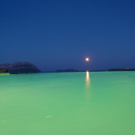 Villa&pool Tavolara view Porto Istana Esterno foto