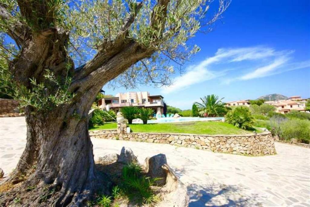 Villa&pool Tavolara view Porto Istana Esterno foto